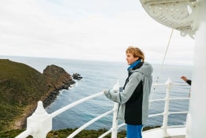 Hobart: Bruny Island Abenteuer mit Mittagessen und Leuchtturm-Tour