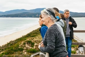 Hobart : Aventure sur l'île de Bruny avec déjeuner et visite du phare