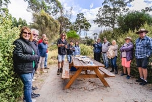 Hobart : Aventure sur l'île de Bruny avec déjeuner et visite du phare