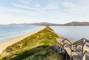 Hobart: Wycieczka dla smakoszy wyspy Bruny Island
