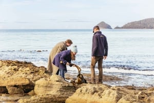 Ab Hobart: Bruny Island Gourmet-Sightseeing-Tagestour