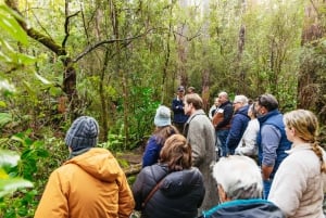 Hobart: Bruny Island Gourmet Sightseeing Day Tour