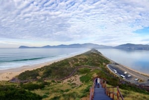 Hobart: tour guidato di Bruny Island con pranzo e traghetto