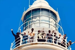 Hobart: tour guidato di Bruny Island con pranzo e traghetto