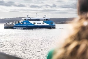 Hobart: tour guidato di Bruny Island con pranzo e traghetto