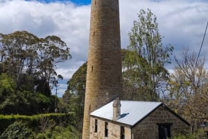 Hobart, brousse et plage (visite en petit groupe de 2 heures)