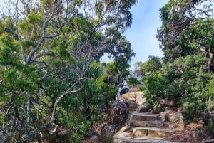 Hobart: Cape Hauy -vaellus, aktiivinen seikkailu