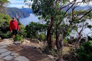 Hobart: Cape Hauy -vaellus, aktiivinen seikkailu