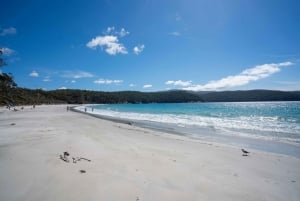 Hobart: Cape Hauy -vaellus, aktiivinen seikkailu
