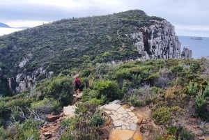 Hobart: Cape Hauy -vaellus, aktiivinen seikkailu