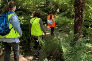 Hobart: Historyczna wycieczka po browarze Cascade