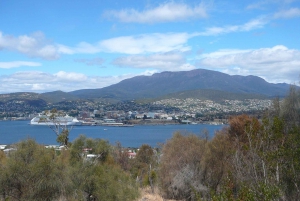 Hobart City, Mt Wellington & Richmond Full-Day Tour