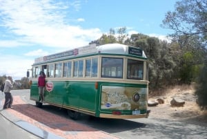 Hobart City Sightseeing Tour including MONA Ticket