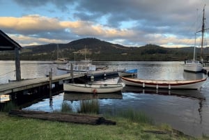 Hobart: Hastings-hulerne, Tahune Airwalk og Huon Valley Tour