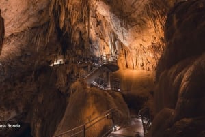 Hobart: Hastings Caves, Tahune Airwalk, and Huon Valley Tour
