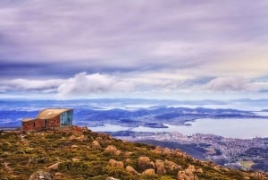 Hobart: Dagstur til Mt. Wellington og MONA med færgetur