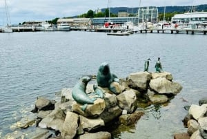 Hobart Discovery Experience