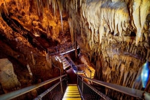 Hobart: Tour de un día completo por el paseo aéreo de Tahune y las cuevas de Hastings