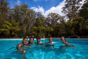 Hobart : Visite d'une jounée à Tahune Airwalk & Hastings Caves Active Tour