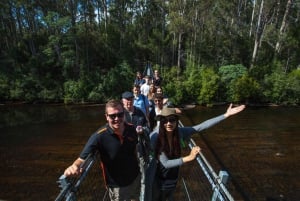 Hobart : Visite d'une jounée à Tahune Airwalk & Hastings Caves Active Tour