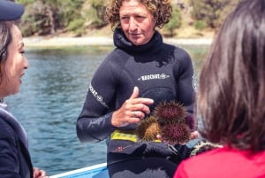 Hobart: Heldags Tasmanien Gourmet skaldjurskryssning