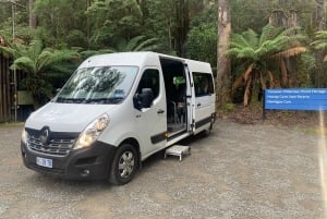 Hobart: Hastings Caves, Tahune Airwalk und Huon Valley Tour