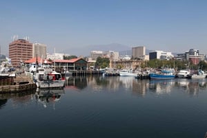 Hobart Heritage Walking Tour & Iron Pot Lighthouse Cruise