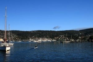 Hobart Heritage Walking Tour & Iron Pot Lighthouse Cruise