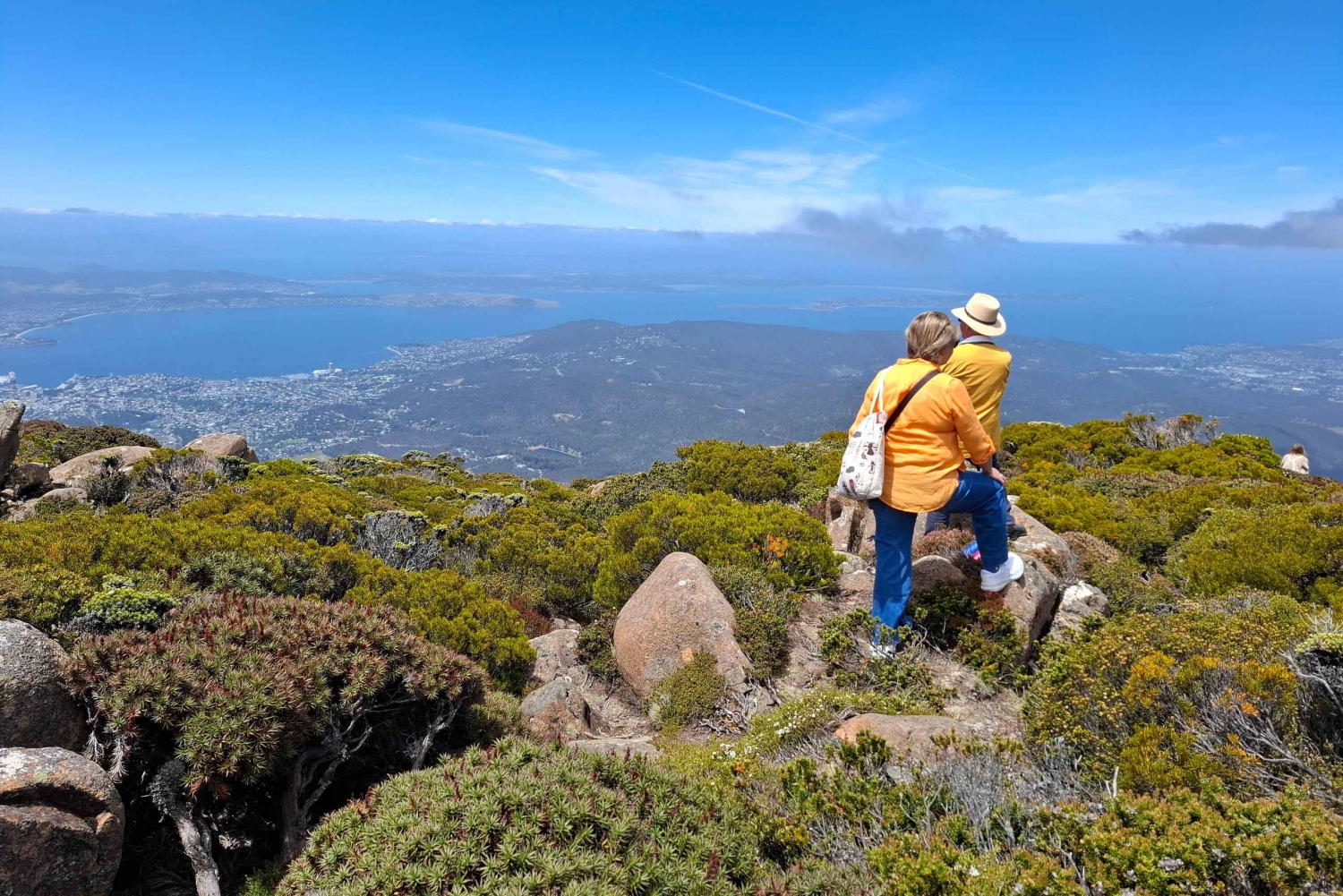 Hobart Highlights & Mount Wellington landutflukt
