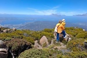 Najważniejsze atrakcje Hobart i wycieczka brzegowa na górę Wellington