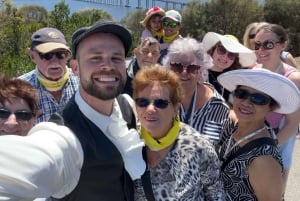 Najważniejsze atrakcje Hobart i wycieczka brzegowa na górę Wellington