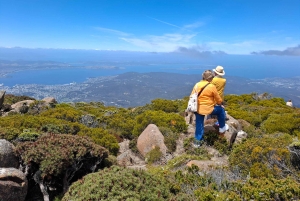 Hobart Highlights & Mount Wellington landutflukt