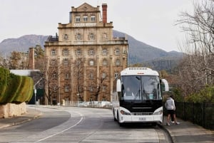 Hobart: Hobart, Richmond och Bonorong Wildlife Sanctuary Tour