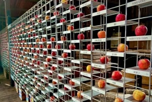 Hobart: Huon Valley mat- og cidersafari