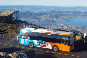 Hobart: kunanyi/Mt Wellington Explorer Bus Pass