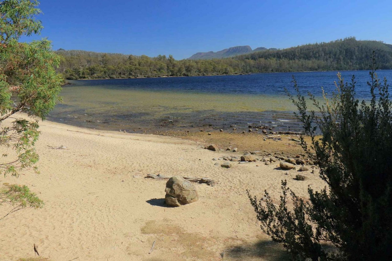 Hobart: Lake St Clair and Western Wilderness Full-Day Tour
