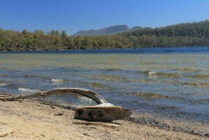 Hobart: Lake St Clair and Western Wilderness Full-Day Tour