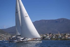 Hobart: tour panoramico in barca a vela di lusso con snack