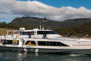 Hobart: Excursão ativa de 1 dia ao Parque Nacional da Ilha Maria