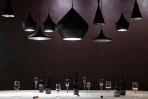Hobart: Moorilla's Wine + Art at Mona by Boat