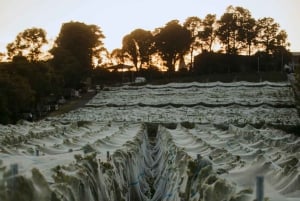Hobart: Moorilla's Wine + Art at Mona by Boat