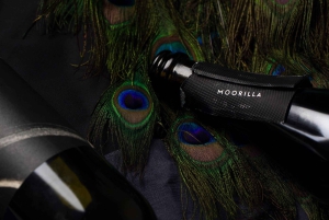 Hobart: Moorilla's Wine + Art at Mona by Boat