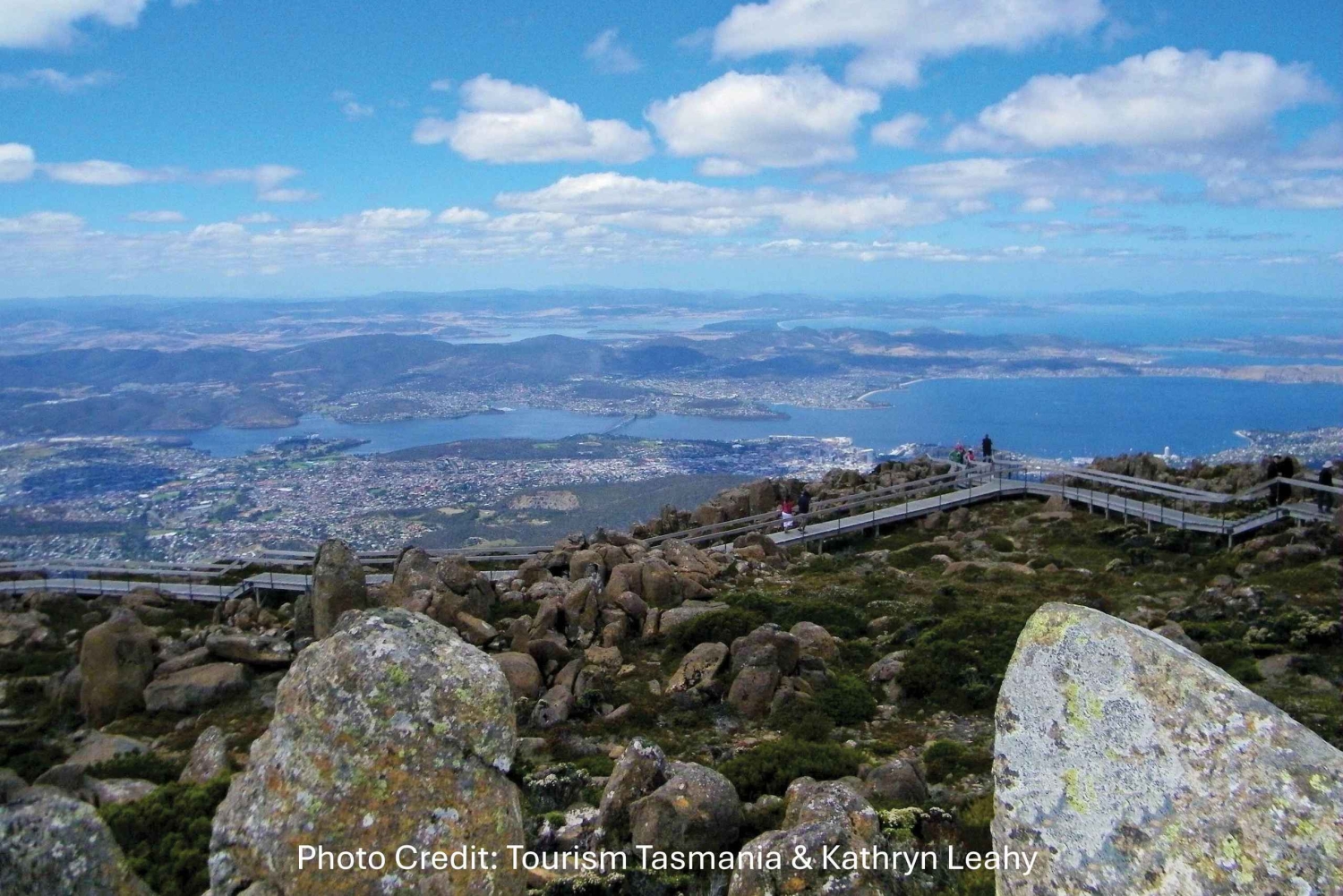 Hobart: Monte Wellington e MONA (tour privado)