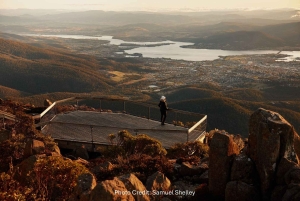 Hobart: Monte Wellington e MONA (tour privado)