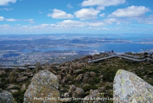 Hobart: Monte Wellington e MONA (tour privado)