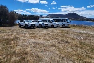 Hobart: Monte Wellington e MONA (tour privado)