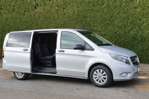 Hobart: Monte Wellington e MONA (tour privado)