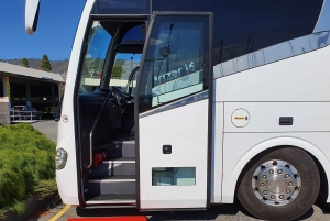 Hobart: Monte Wellington e MONA (tour privado)