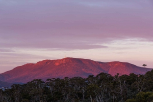 Hobart: nipaluna halvdagstur med højdepunkter