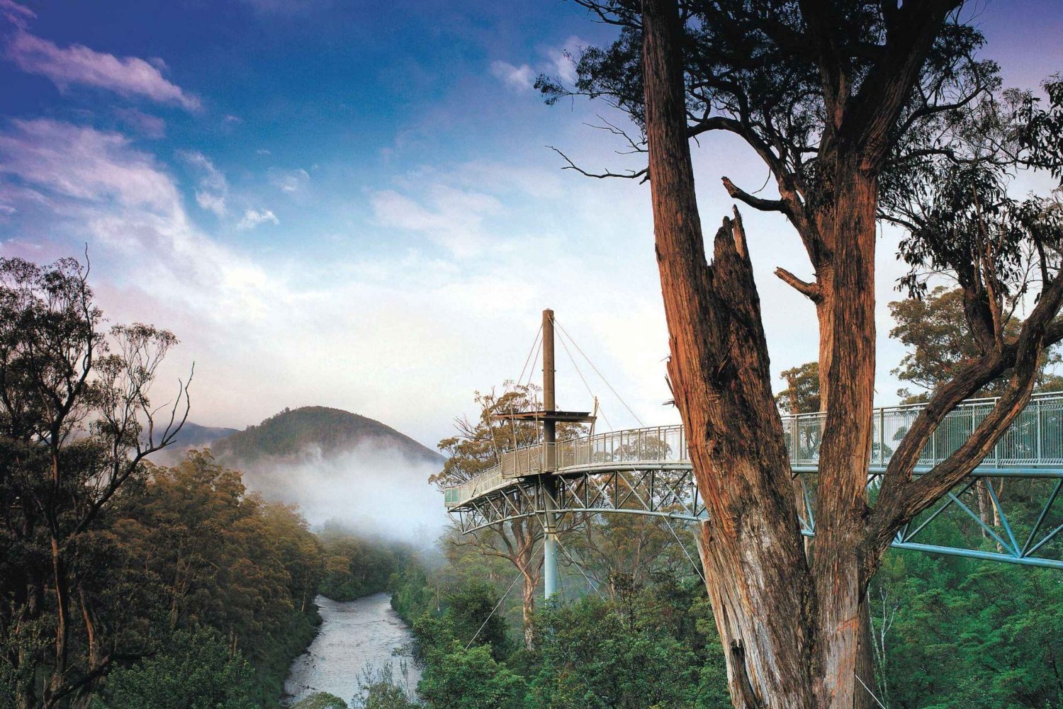 Hobart: Port Arthur, Bruny, Hastings e Tahune — viagem de 1 dia